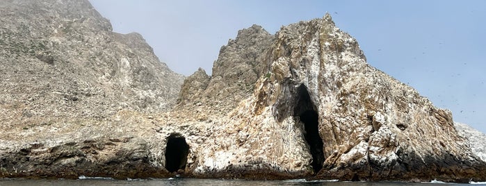 Farallon National Wildlife Refuge is one of National Wildlife Refuge System (West).