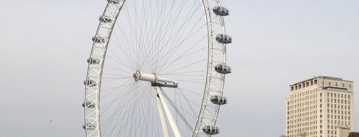 The London Eye is one of About LONDON.