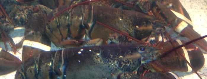 Red Lobster is one of Orte, die Dana gefallen.