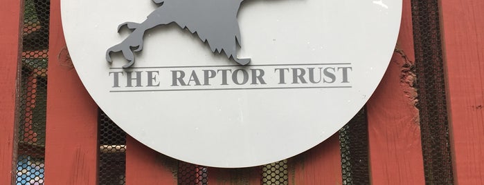Raptor Rescue Center is one of Lugares favoritos de Persephone.
