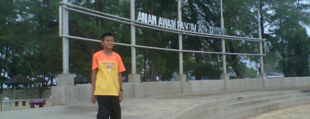 Pantai Air Tawar is one of ꌅꁲꉣꂑꌚꁴꁲ꒒’s Liked Places.