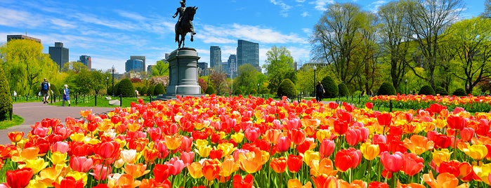 Boston Public Garden is one of 5D in Boston / Apr. 2018.