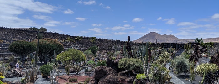 Jardin de Cactus is one of 1W in Lanzarote / May 2019.