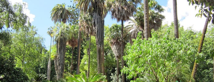 Jardim Botânico is one of Lisbon.