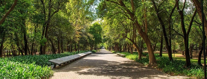 Bosque de Chapultepec is one of 3W in Mexico / Oct. 2019.