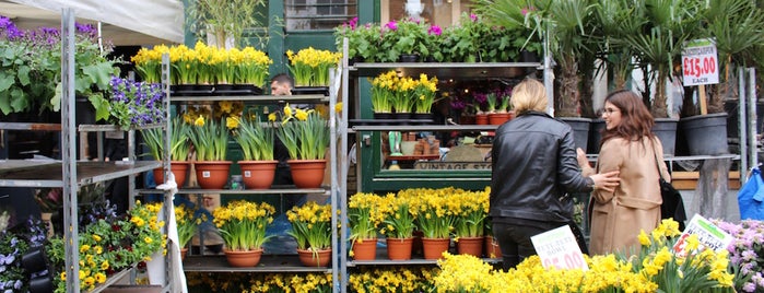 Columbia Road Flower Market is one of 48H in London / May 2019.