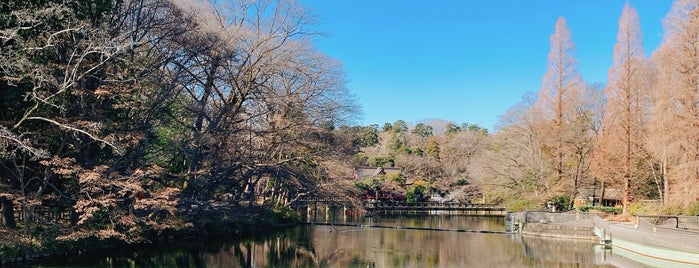 Inokashira Pond is one of Tokyo.