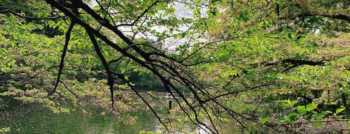 ひょうたん橋 is one of 吉祥寺2.