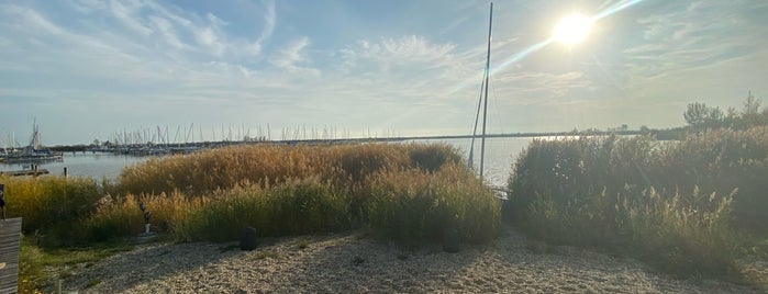 Neusiedlersee