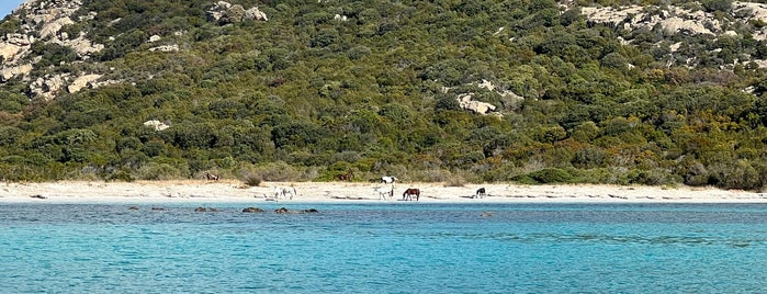 Anse d'Arbitru is one of France.