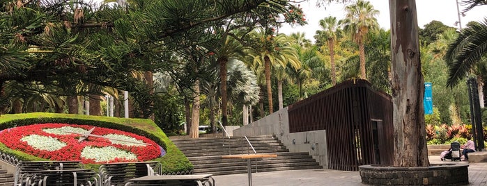 Bar-Terraza Parque García Sanabria is one of Cafes S/C Tenerife.