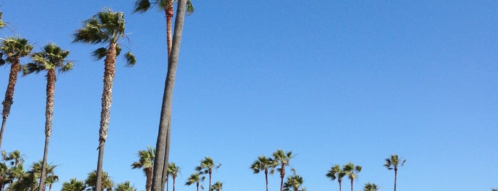 Venice Beach Boardwalk is one of Los Angeles.