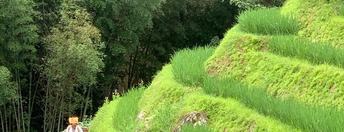 Dazhai to Ping'an Longji Rice Terraces is one of Exploring Guillin.