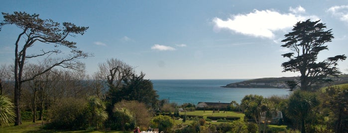 The Rosevine Hotel is one of Cornwall.