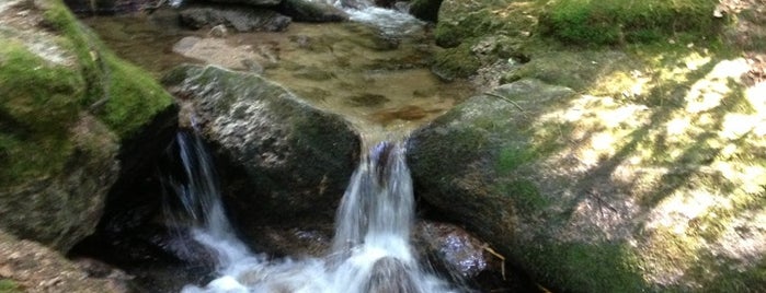 Geroldsauer Wasserfall is one of Locais curtidos por YASS.