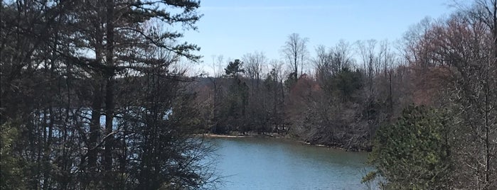 Lake Sidney Lanier is one of Daytime Excursions.