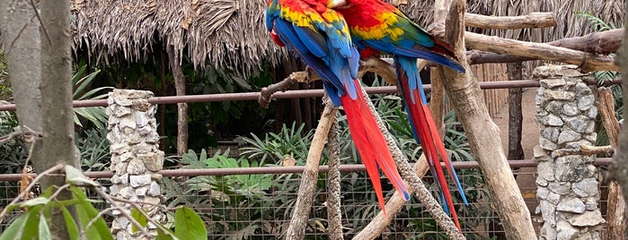 Zoológico El Pantanal is one of Guayaquil places must go.