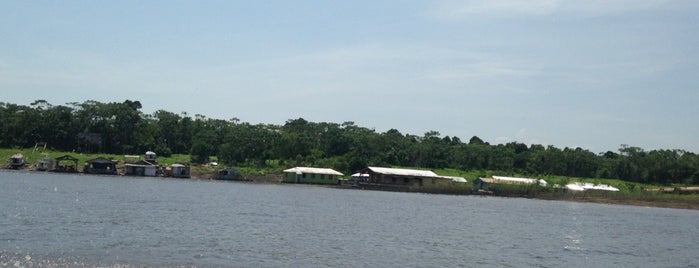 Palafitas is one of Manaus'14.