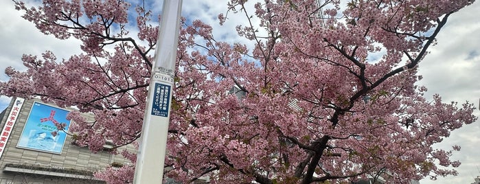 Tokyo Skytree Town is one of ヤン'ın Beğendiği Mekanlar.