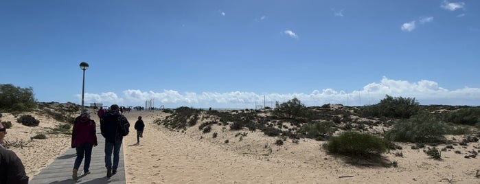 Praia da Ilha de Tavira is one of Praias do Algarve.
