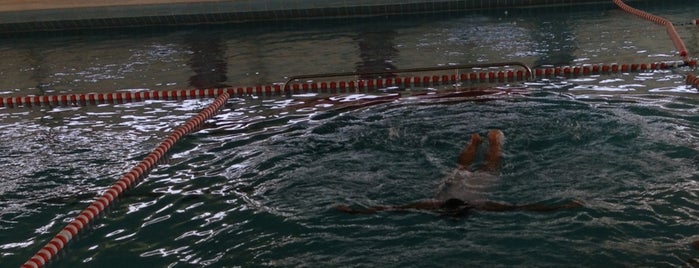 Khaldiya Swimming Pool is one of Tempat yang Disukai ɹǝxoqʞɔıʞ8b.