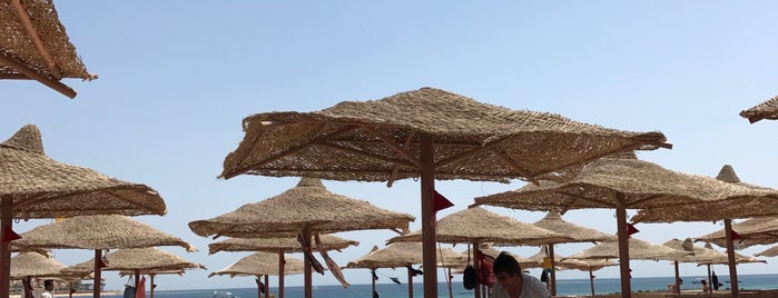 Beach Makadi Saraya Resort is one of Around Egypt in 80 days!.