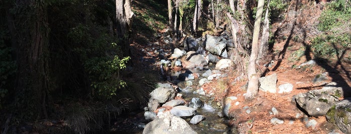 Kaledonia Waterfalls is one of Cyprus. Places.