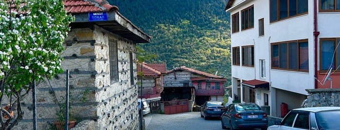 Ormana Beldesi is one of Antalya 🏊.