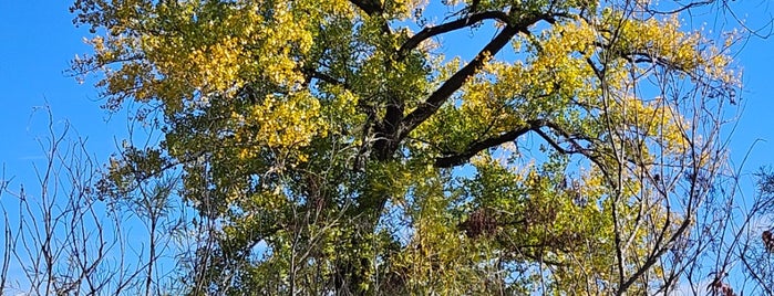 Rice Creek Chain Of Lakes Park Reserve is one of Centerville Area.