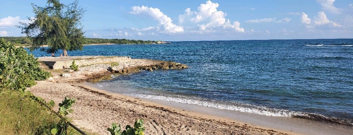 Playa Tamarindo is one of Orte, die Roberto J.C. gefallen.