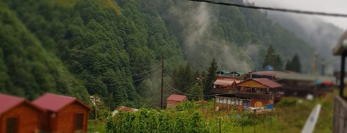 Saklı Cennet Yörük Çadırı is one of Tempat yang Disukai Yahya.