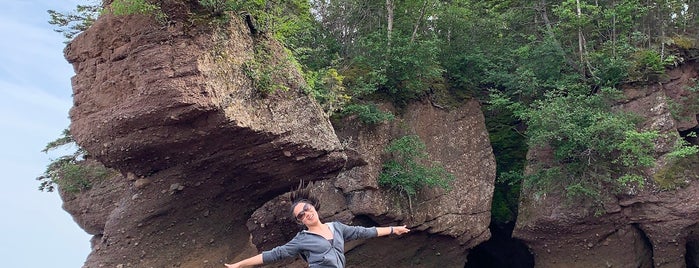 Hopewell Rocks is one of Daveさんのお気に入りスポット.