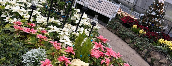 Centennial Park Greenhouse is one of GTA non dining.