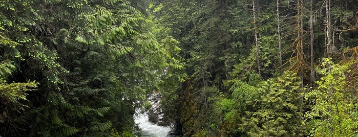 Lynn Canyon Suspension Bridge is one of Vancouver Parks.
