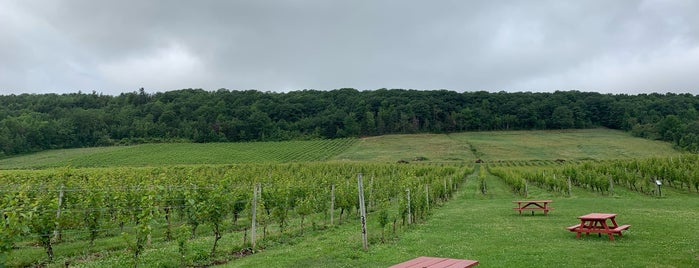 Gaspereau Vineyards is one of สถานที่ที่ Carlos ถูกใจ.