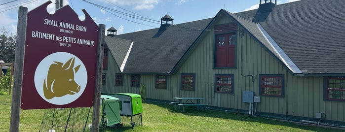 Canada Agriculture and Food Museum is one of FOOD AND BEVERAGE MUSEUMS.