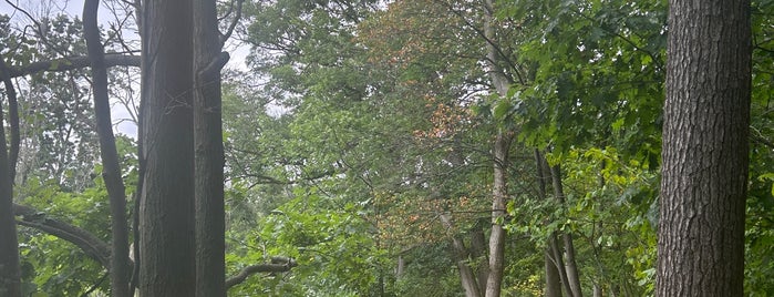 Rattray Marsh is one of Toronto/Canada saved places.