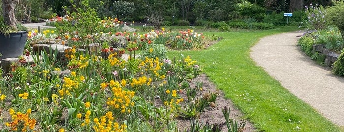 Botanischer Garten is one of Botanische Gärten 🌿.