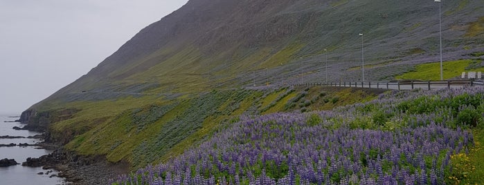 Ólafsfjörður is one of İZLANDA #1 ⛄.