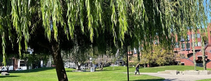 Sydney Walton Park is one of Xiao’s Liked Places.