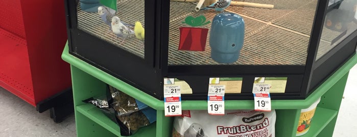 Petco is one of My favorites for Pet Stores.