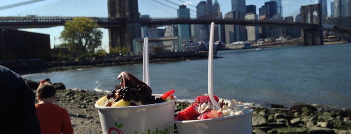 Pinkberry is one of NYC — Food.