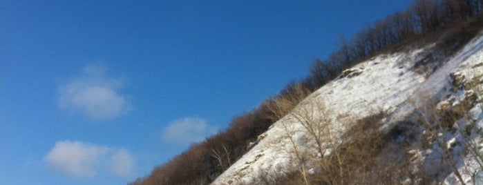 Лысая гора is one of Дмитрий 님이 좋아한 장소.