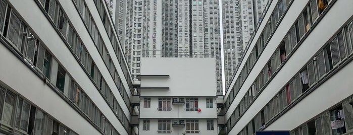 Wah Ha Estate is one of 公共屋邨.