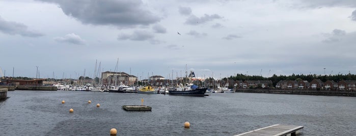 Royal Quays Marina is one of สถานที่ที่ Anthony ถูกใจ.