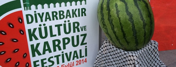 DİYARBAKIR Karpuz Festivali is one of Şano/Sînema/Çalakî.