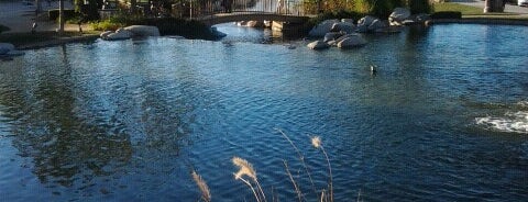 The Lakes in Westlake Village is one of Tempat yang Disukai Amy.