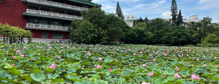 Taipei Botanical Garden is one of Taipei Sites.