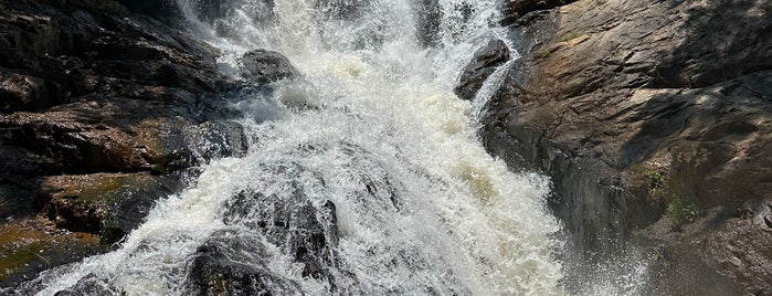 Thác Datanla (Datanla Waterfall) is one of Da Lat.