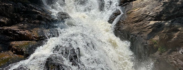 Thác Datanla (Datanla Waterfall) is one of To do in Da Lat.